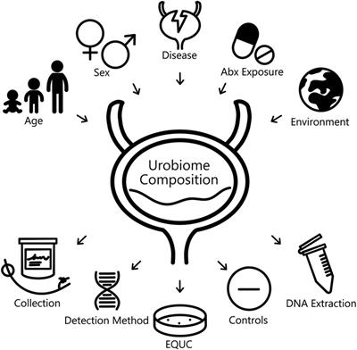 Synthesis of current pediatric urinary microbiome research
